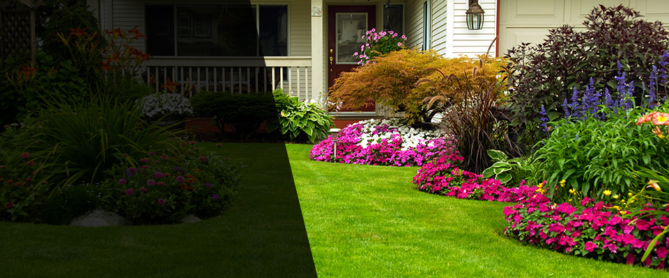 Acme Landscapers