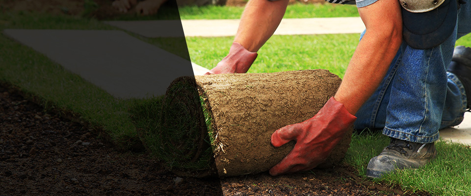 Acme Landscapers